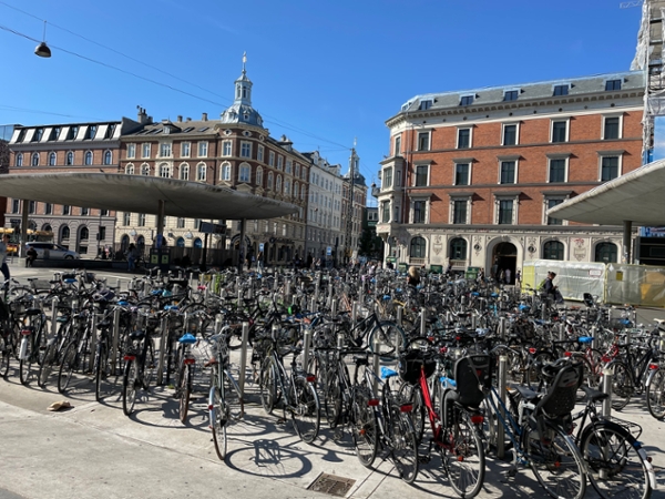 many rows of bikes parked in copenhagen denmark